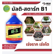 multi start B1 4liter