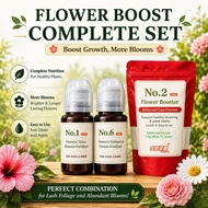Desert Rose Bloom Boost Set | Complete Adenium Care