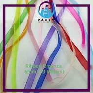 10 Meters Organza Ribbon 6mm / Reben Organsa 6mm (10 Meters)