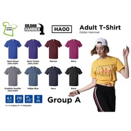 Gildan Hammer T-Shirt (UNISEX) - HA00 (Group A)