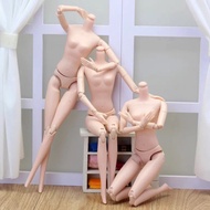 body 29cm 164 Joints New Model White doll