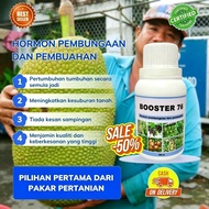 BOOSTER 76 - Serbuk Perangsang Buah Untuk Meningkatkan Hasil Buah Dan Mencegah Keguguran Buah