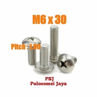 Baut JT Stainless M6 x 30 / Baut Payung SS M6 x 30 / JT SS M6 x 30