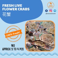 [GoGo Seafood] Fresh Live Flower Crab 花蟹 (Seasonal) 1KG