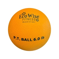 United States [EcoWise] Gravity Ball Medicine Physical Therapy 6lbs 3kg NEUWA Material Latex-Free No