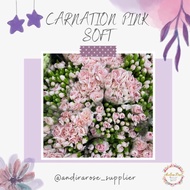 Dijual CARNATION Anyelir Bunga Potong Segar Murah