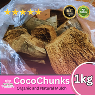 🌱 ELISHA l Coco chunks or Bunot 1 Kgs. (Approx 25 to 30 pieces per pack) good for planting, Made fro