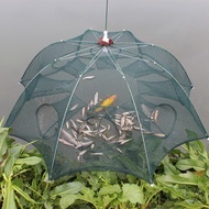 Bagua Fishing Net 6 - 8 - 12- 16 Door A Cuong + 1 free package of bait to trap shrimp, crab, and fis