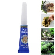 Aquascape Adhesive Glue Plants