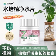 Slice Lotus Bowl Hydroponic Slice Plant Indoor Dill Plant Lotus Water Purification Brazilian Wood Gr
