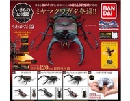 【現貨】萬代BANDAI正版 鍬形蟲02 扭蛋系列 巨型昆蟲 甲蟲 可動