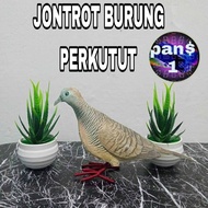 boneka jontrot burung perkutut