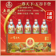 五粮液（一尊天下）5*100ml 礼盒