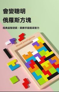 全新俄羅斯方塊積木拼圖3到7歲男孩女孩兒童智力動腦開發益智玩具 A brand new Tetris block puzzle for boys and girls aged 3 to 7 years