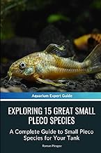 Exploring 15 Great Small Pleco Species: A Complete Guide to Small Pleco Species for Your Tank
