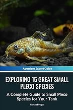 Exploring 15 Great Small Pleco Species: A Complete Guide to Small Pleco Species for Your Tank