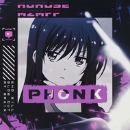 Full Network PHONK Music Selection 999+Comment Drift Fengke Atmosphere Subwoofer Car Music cd Disc 7