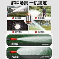 Farmland Volt Small 12v24v48V60V72 Submersible Pump DC Irrigation Electric Vehicle Battery Pump Wate