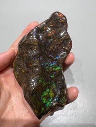 雙面黑斑彩龍珠