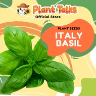 Plant Talks Italy Basil Seed / Basil Plant / Basil Herb Seed / Herb Seeds