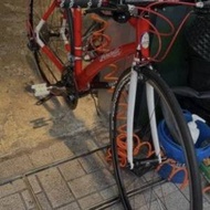 PINARELLO TREVISO ALUMINIUM 公路單車