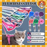 HK Dog Cat Harness Collar Leash Safety Traction Rope Tali Kucing Leher Cat Rantai Kucing Pet Harness