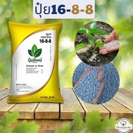 ปุ๋ย 16-8-8 ปุ๋ยทิพย์  ปุ๋ยที่ช่วยให้พืชดูดซับสารอาหารได้ดี
