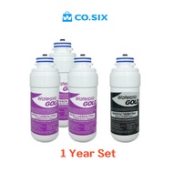 Ruhens V series Hydroflux H2300 WHP 3000(3200) water filter cartridge