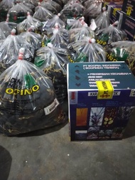 benih kecambah kelapa sawit scopindo unggul paket 1 kotak