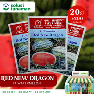 Benih Semangka Red New Dragon F1 20gr Bibit Semangka Ta Fung Benih Semangka Tafung Watermelon Bibit 