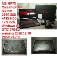 MSi GP73Core i7-8750H8G