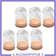[Lacooppia1] 5Pcs Mini Glass Hemisphere Cloche Jar Cover Decor