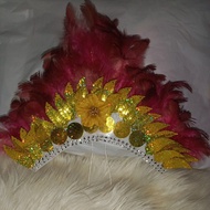 Feather accessories