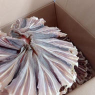 ปลากระเบนวง ปลากระเบน ปลากะเบน ปลากะเบนตากแห้ง ปลากระเบนแห้ง   500 กรัม ส่งสินค้าทุกวันจ้า