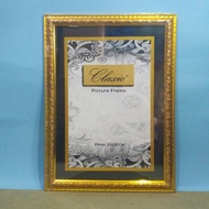 11R 28x35 Gold, Silver, Brown Photo Frame