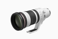 ☆晴光★ Canon RF 100-300mm f/2.8L IS USM 活動攝影 鳥類攝影 運動攝影 