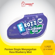 FROZZ Blueberry Mint permen bebas gula rendah kalori & dingin menyegarkan