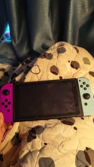 任天堂 Switch 主機(動物森友会特別版) 連底座加所有配件 急出 價格可議