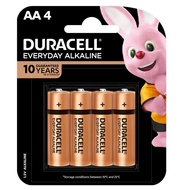 Duracell Everyday Alkaline AA Battery (AA2 | AA4 )