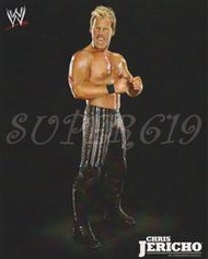 ㊣SUPER619㊣ WWE Chris Jericho 8x10 Unsigned Photo 照片