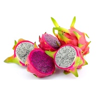 BUAH NAGA MERAH DAN PUTIH | DRAGON FRUIT
