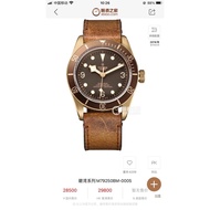 TUDOR TUDOR Biwan Series Bronze Watch