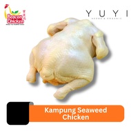【Beacon】Kampung Seaweed Chicken