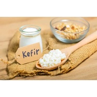 HEALTHY Active Milk Kefir Grains