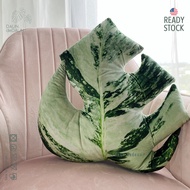 [🇲🇾Clearance] Monstera Albo Variegate Plant Leaf Pillow | Bantal Daun Keladi Viral Monstera Hiasan Sofa Cushion Plush