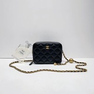 Chanel Pearl Crush Camera Bag