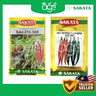 AgroBuddy Sakata 508 [5gm] Sakata 461 [10gm] Hot Pepper F1 Hybrid Chilli | Benih Cili Padi Cili Kula