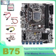 B75 BTC Miner Motoard 12x Usb Dengan G1610 CPU + Kabel Switch SATA +
