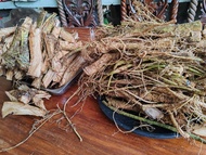 Legit Dried Alingatong Roots