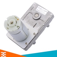 Động Cơ Giảm Tốc Động Cơ Phát Điện DS400 ( 6 - 24VDC )